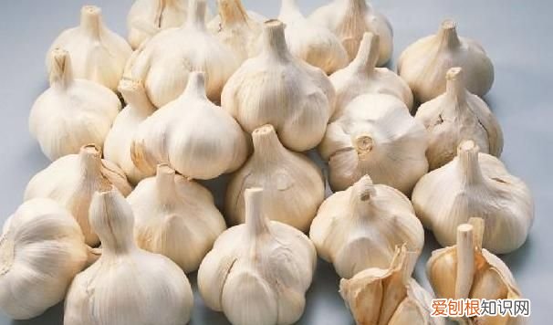 大蒜的保存方法,大蒜的最佳保存方法