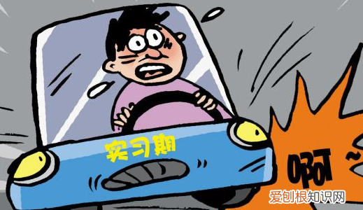 实习期上高速会被吊销，实习期上高速是否会被吊销驾照