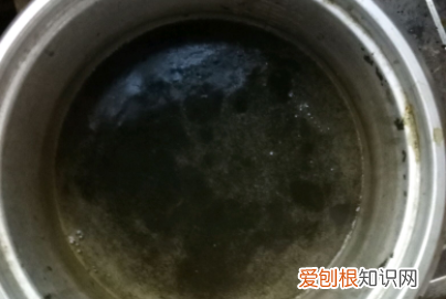 凉粉草做凉粉的做法，凉草的制作方法和配方