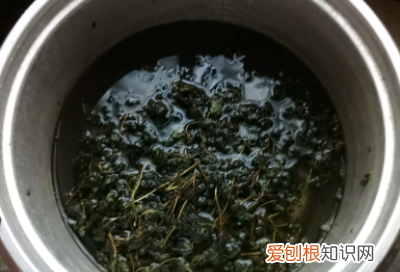 凉粉草做凉粉的做法，凉草的制作方法和配方