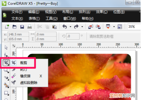 cdr如何使用裁剪工具,coreldraw如何裁剪图片