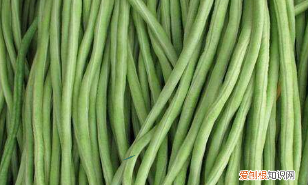 扁豆怎么切成丝，凉拌扁豆丝怎么做好吃
