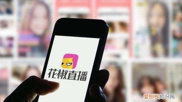 花椒娃娃解析，花椒直播该怎样才能调声音