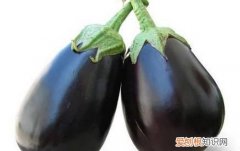 茄果类蔬菜的共同特点是，茄果类蔬菜品种上如何选择