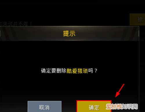 怎么删除吃鸡游戏好友，吃鸡怎么删除游戏好友对方看得见吗