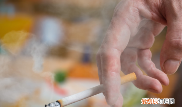 来颗华子什么意思,抖音华子是什么意思