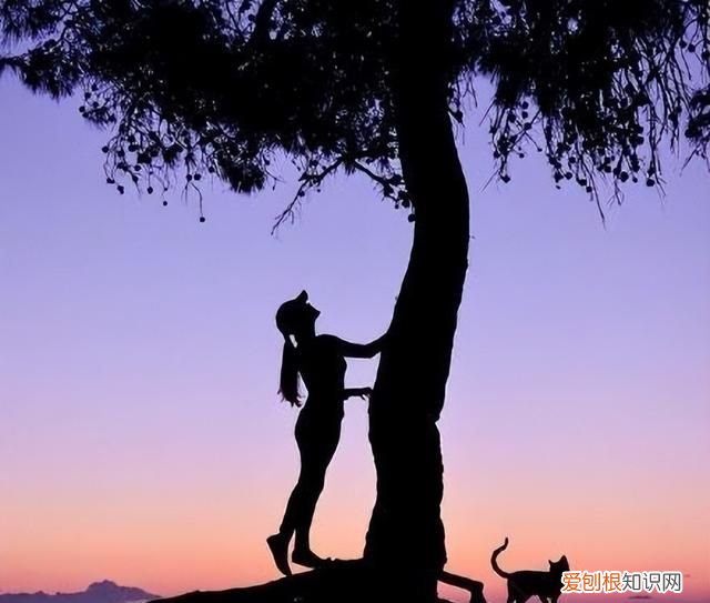 隐晦的表达难过的伤感文案,简短虐心,触碰泪点的句子