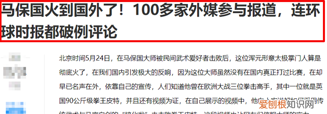 马保国汇报中国武术原,中国武术大师评价马保国