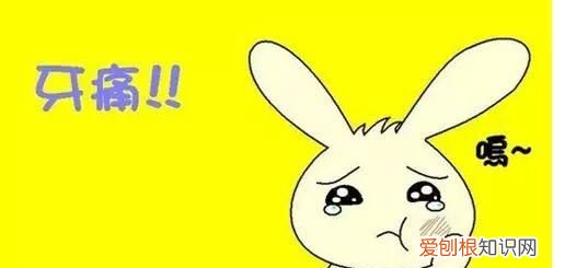 孩子牙疼怎么办 立刻止疼妙绝招