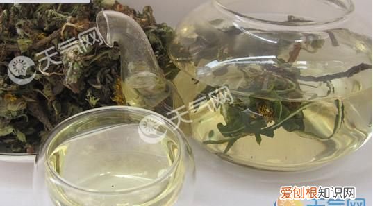 蒲公英茶可以天天喝吗有什么禁忌