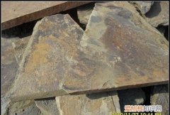 泥岩是什么动物，板岩是什么岩石变质的