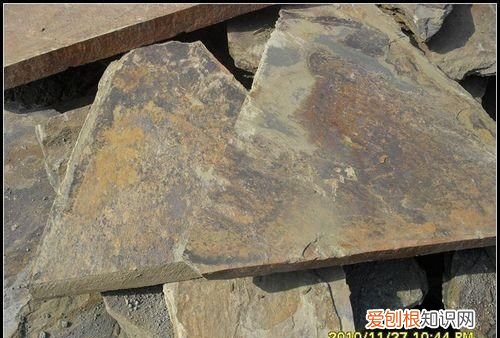 泥岩是什么动物，板岩是什么岩石变质的