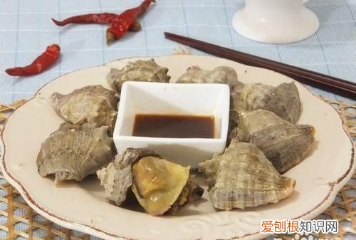 海螺开锅煮几分钟合适,冻海螺蒸几分钟最好吃