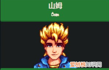 星露谷物语山姆家门口，星露谷物语山姆喜欢什么礼物