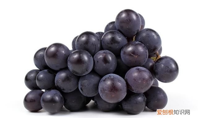 葡萄属于寒性还是热性,葡萄属于什么性的水果