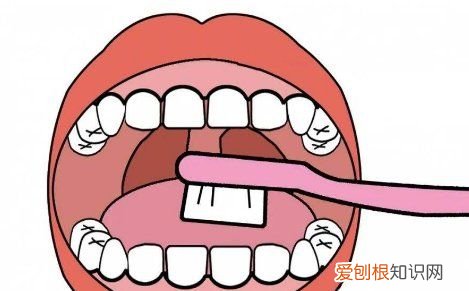 怎么控制自己的饮食，如何控制饮食才能减肥