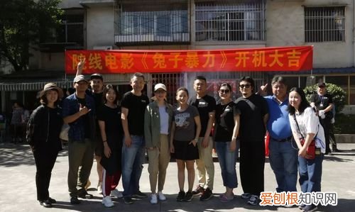 兔子暴力结局什么意思,兔子暴力国内什么时候上映