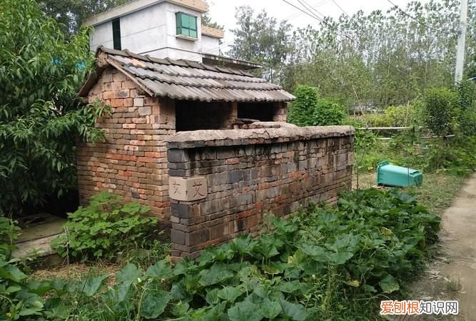 旱厕苍蝇多怎么处理