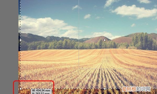 ai怎么看画布尺寸，ai画布大小怎么设置像素