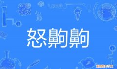 齁得慌是什么意思，咸是一种什么感觉