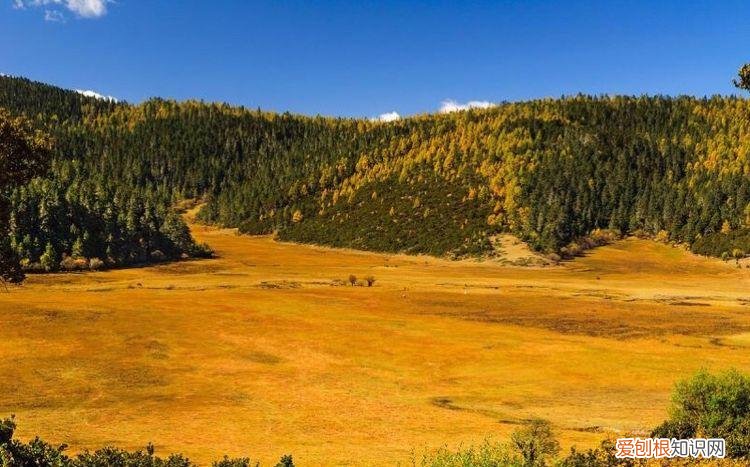 天香格里拉普达措国家公园