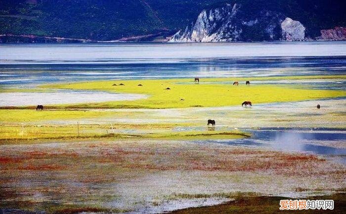 天香格里拉普达措国家公园