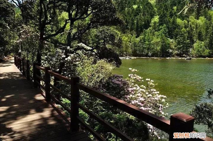 天香格里拉普达措国家公园