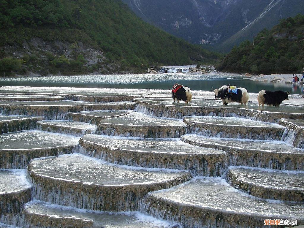 天香格里拉普达措国家公园