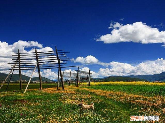 天香格里拉普达措国家公园