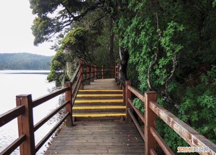 天香格里拉普达措国家公园