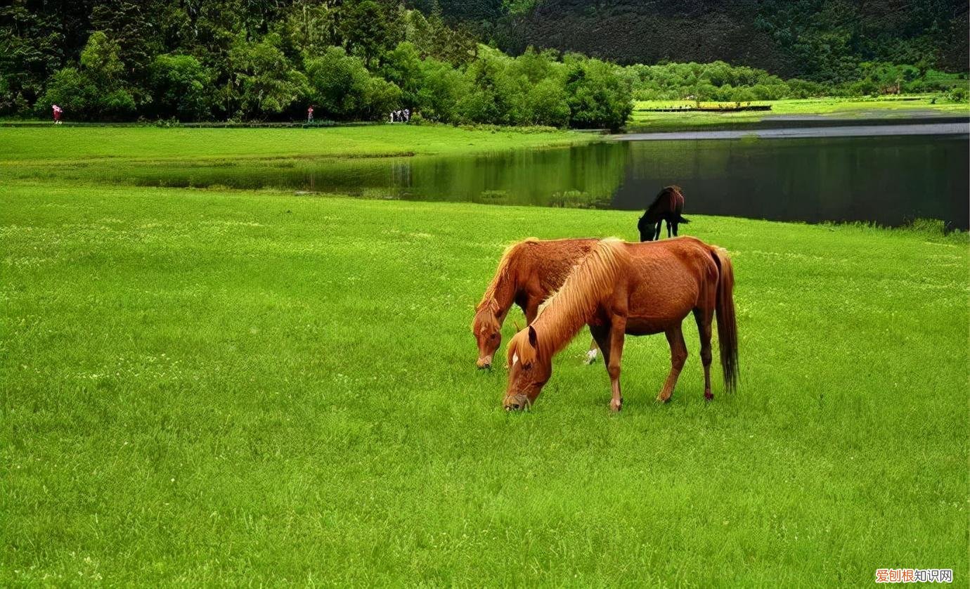 天香格里拉普达措国家公园