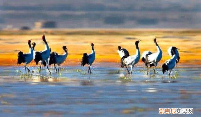 天香格里拉普达措国家公园