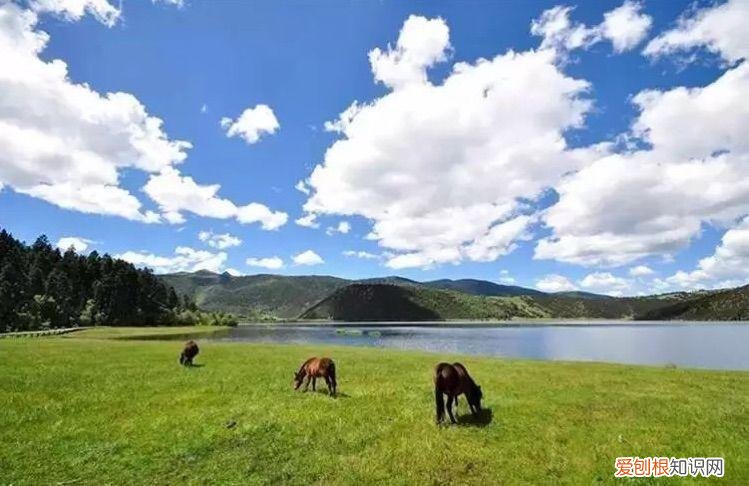 天香格里拉普达措国家公园