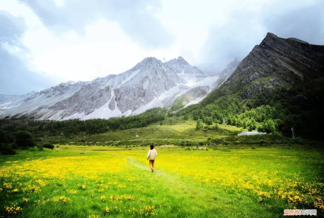 天香格里拉普达措国家公园