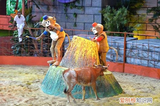 城市之间主持人奥利弗