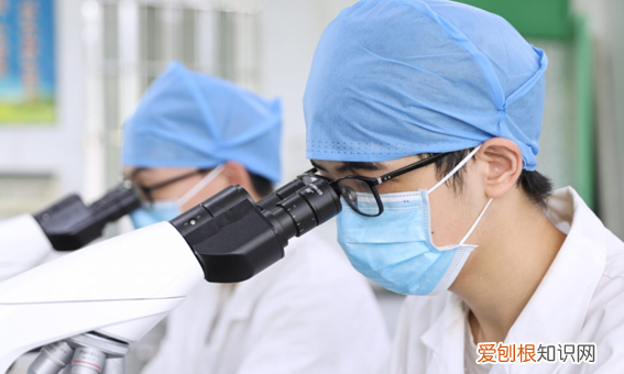 医学科技类专业指的是什么,医学科技类专业是哪些专业