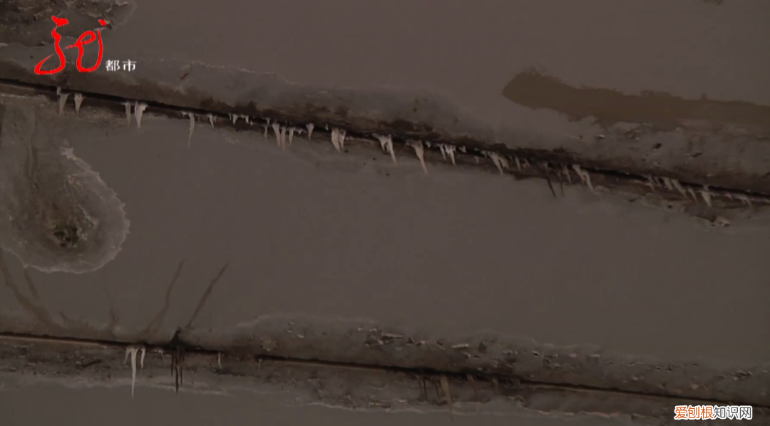 哈尔滨阳明滩大桥