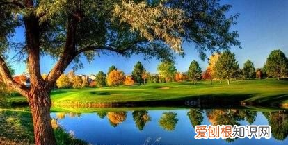 行程卡在哪,微信行程卡在哪里找