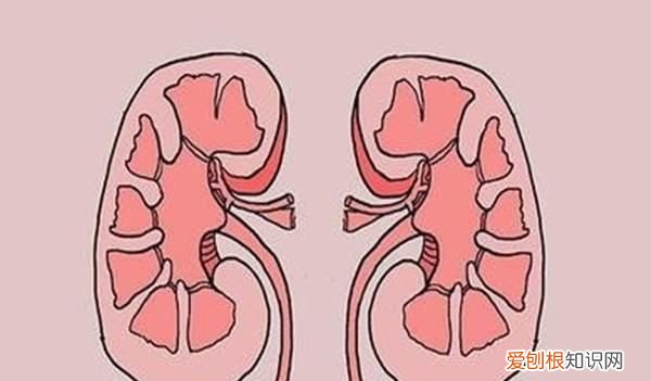 衰竭什么意思在词典中,词典中的衰竭的意思是什么