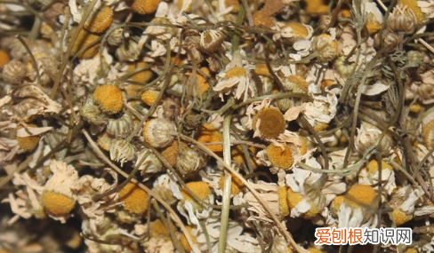 小甘菊新经典护手霜多少钱