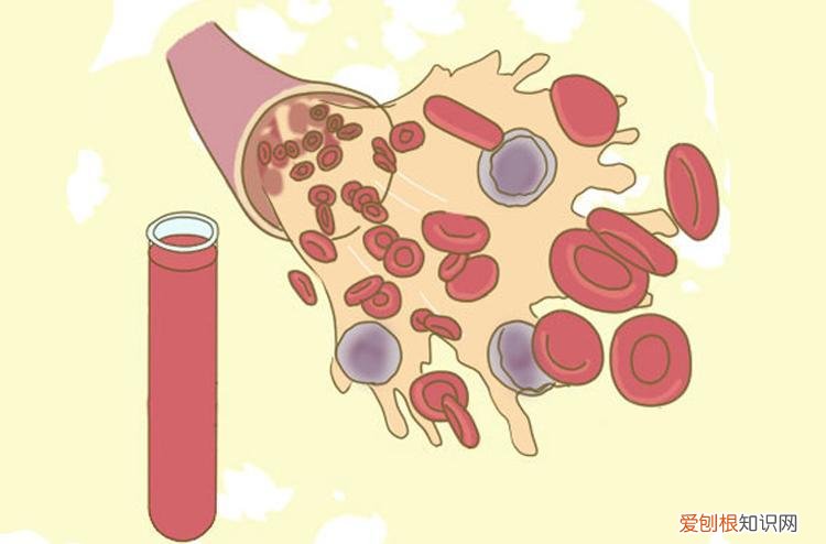 男性中性粒细胞百分比偏高的原因