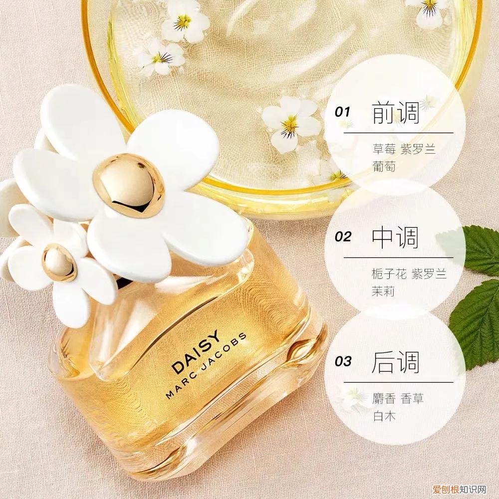 小雏菊香水是什么牌子