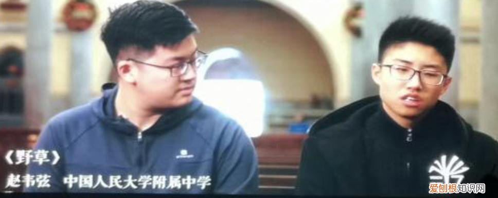 施子怡路远小说完整版！