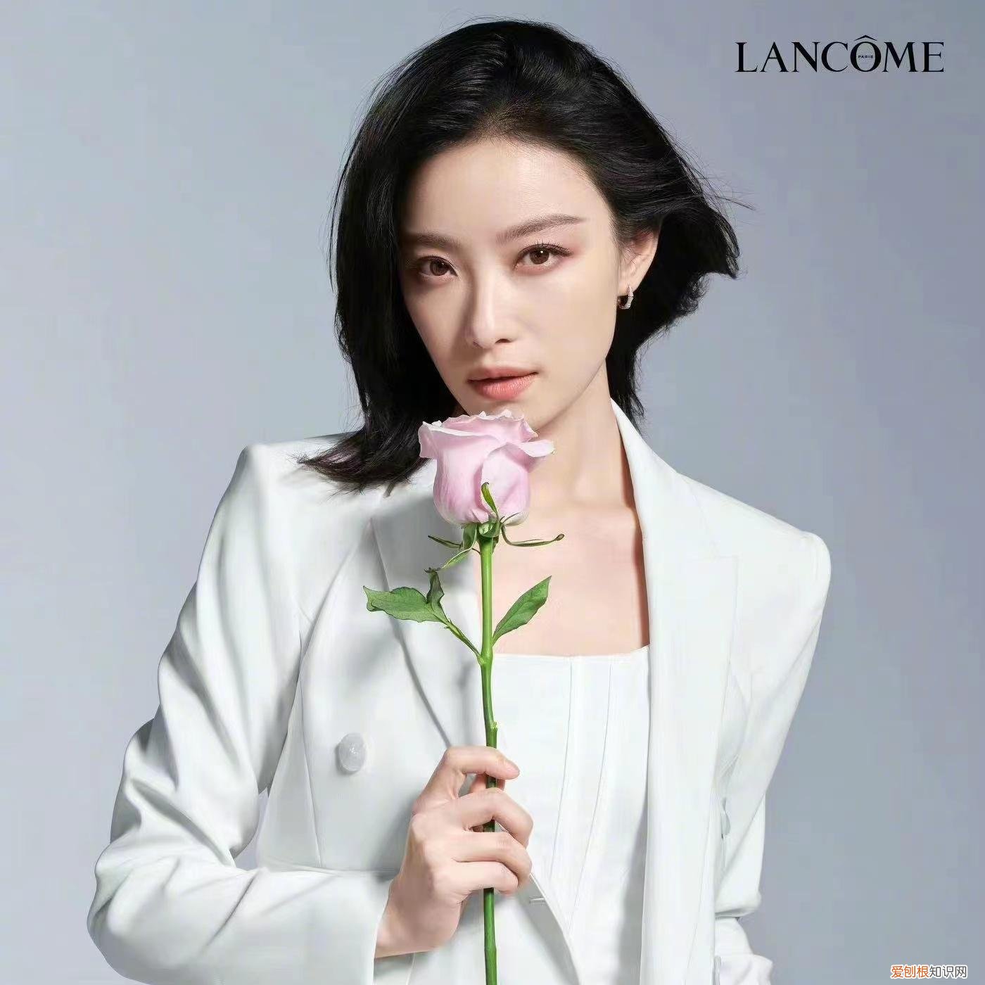 兰蔻代言人倪妮和谁在一起