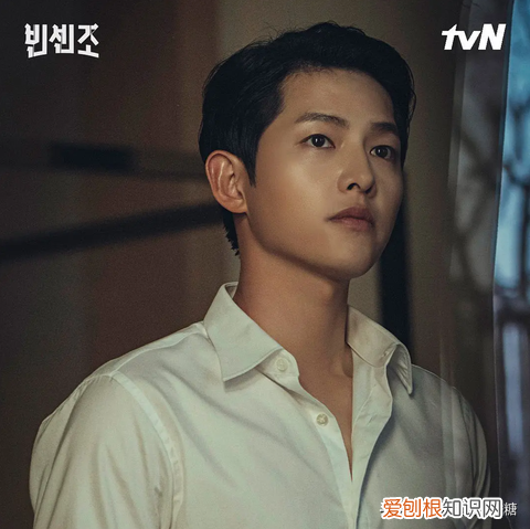 黑道律师16集在线观看 ！