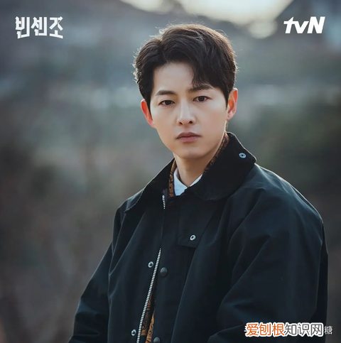 黑道律师16集在线观看 ！