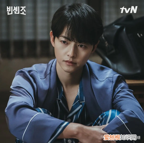 黑道律师16集在线观看 ！