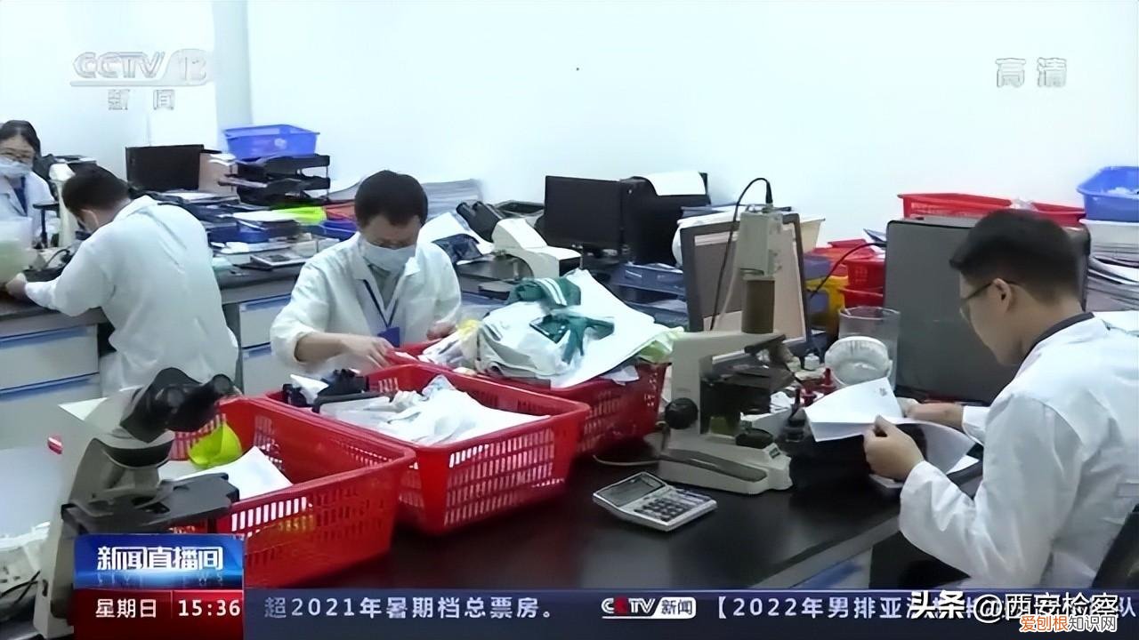 儿童服装品牌有哪些牌子