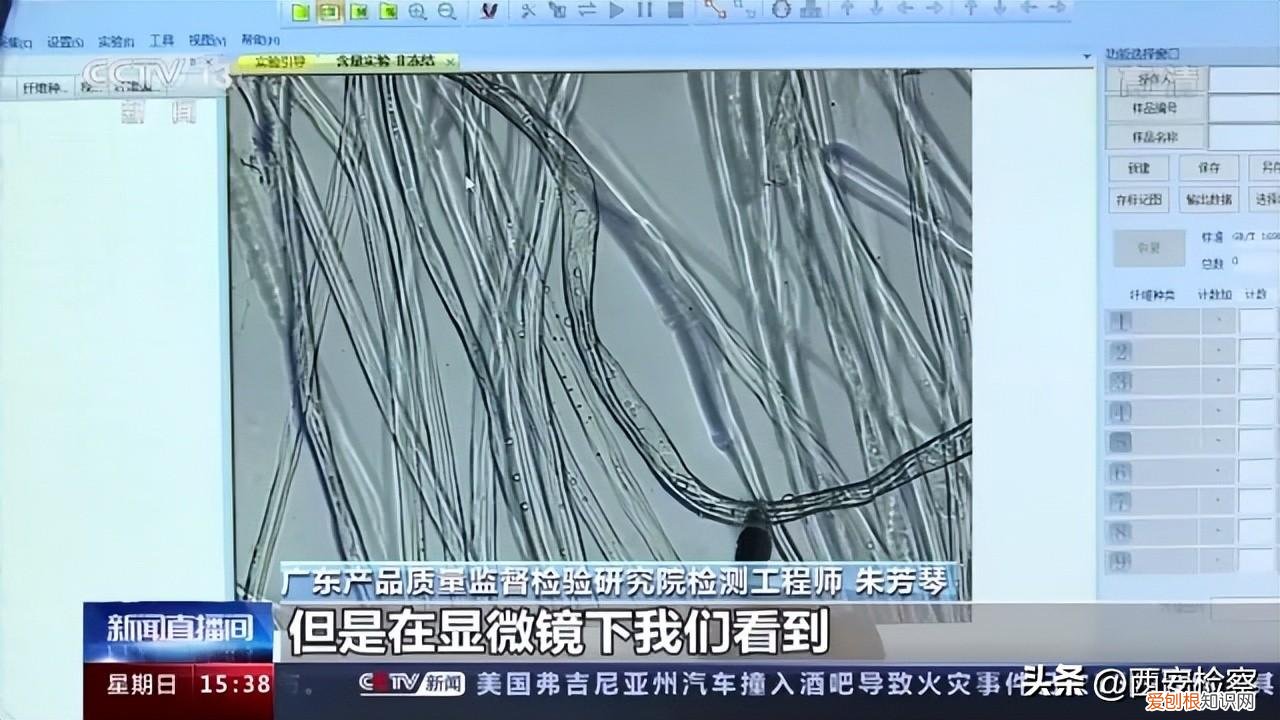 儿童服装品牌有哪些牌子