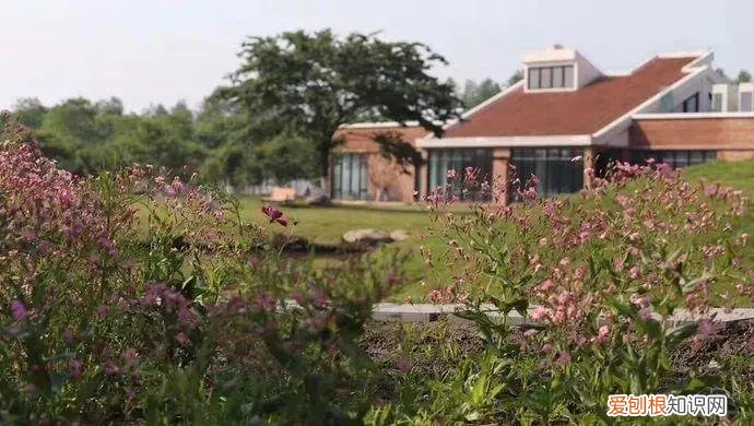 欢乐谷票价多少！